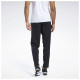 Reebok Ανδρικό παντελόνι φόρμας Workout Ready Track Pants